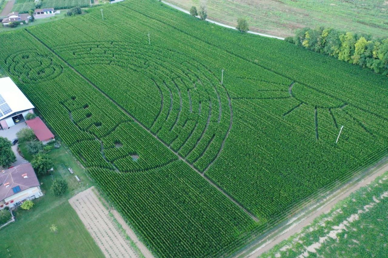 La Selce Farmhouse Panzió Bagnario Arsa Kültér fotó