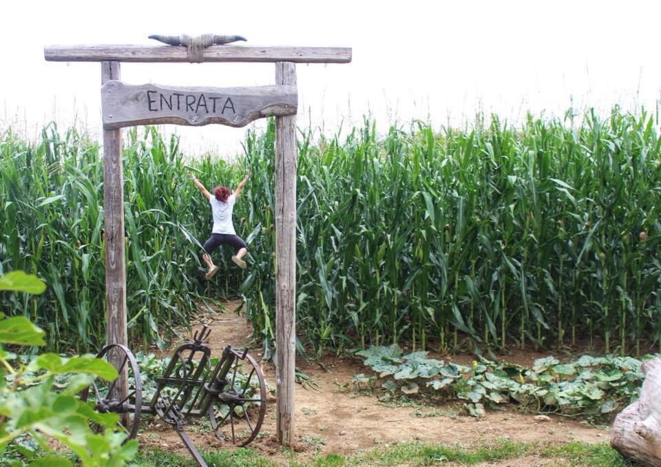 La Selce Farmhouse Panzió Bagnario Arsa Kültér fotó