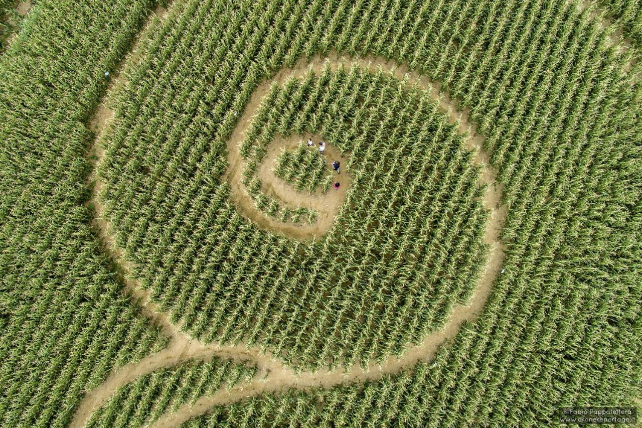 La Selce Farmhouse Panzió Bagnario Arsa Kültér fotó